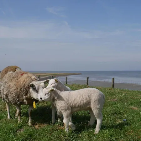 Logeren Op Wieringen Hébergement de vacances Hippolytushoef