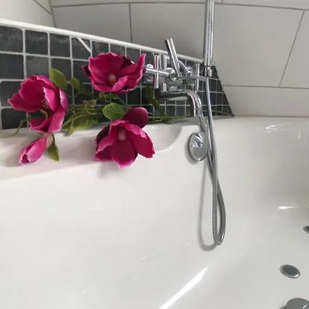 Logeren Op Wieringen Hippolytushoef